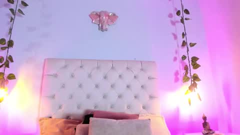   online show from 11/05/25, 08:42