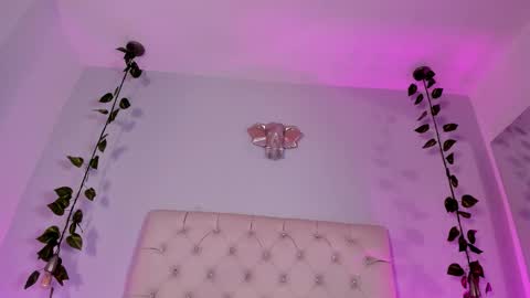   online show from 11/18/25, 09:19