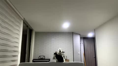 Snapshot of isabelprietoo chatting on 09/16/25, 02:56 Isa online show from 09/16/25, 02:56