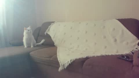 Snapshot of issabelle_69 chatting on 10/30/25, 07:10 Issabelle online show from 10/30/25, 07:10