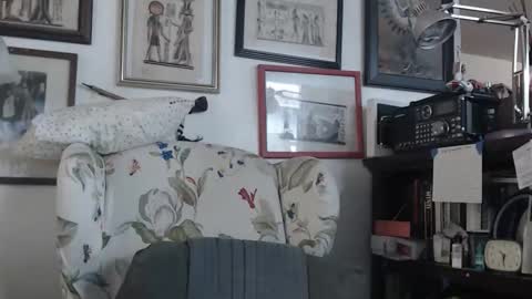 ImYourBitch online show from 05/17/26, 05:31
