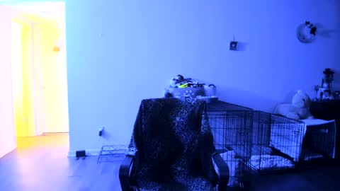 Bella Bloom online show from 07/25/26, 07:06