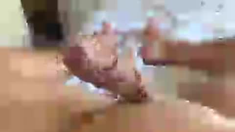 italianxsalami online show from 07/16/26, 03:07