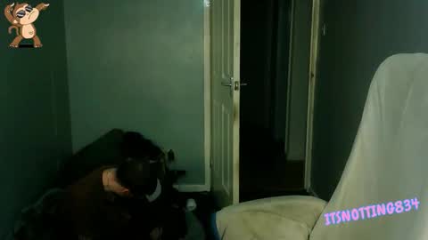    online show from 09/13/25, 09:03