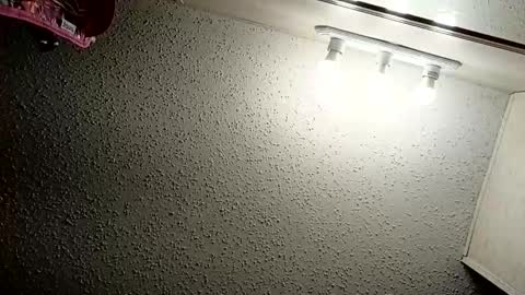 Snapshot of ittybittypritty chatting on 11/09/25, 11:19 ittybittypritty online show from 11/09/25, 11:19