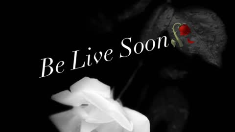 Ivy Rosie online show from 11/20/25, 03:12