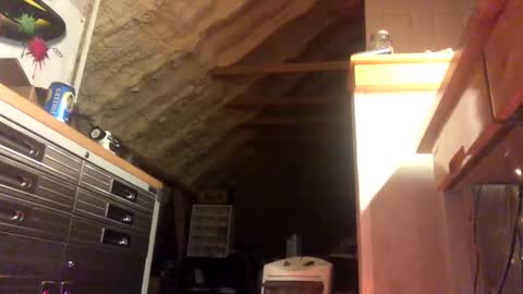 Snapshot of iwinnner chatting on 01/28/25, 02:11 That Guy online show from 01/28/25, 02:11