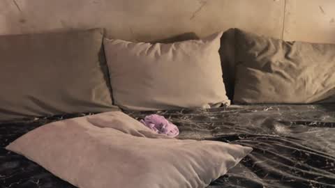 Snapshot of izi_fox chatting on 02/19/25, 09:47 izi online show from 02/19/25, 09:47
