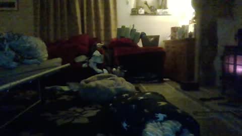 Snapshot of j4ckcock chatting on 01/01/25, 12:43 J4ckcock online show from 01/01/25, 12:43