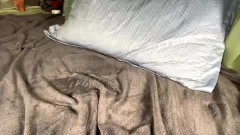 Snapshot of jacksbunnys chatting on 01/14/25, 11:10 jacksbunnys online show from 01/14/25, 11:10