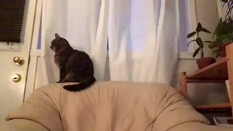 Jacob online show from 10/19/25, 11:00