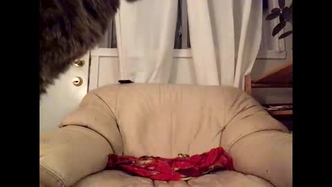 Snapshot of jacobmotes chatting on 03/17/26, 12:37 Jacob online show from 03/17/26, 12:37