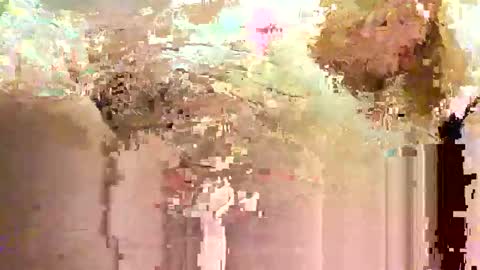 jadedmoshier online show from 11/28/25, 09:01