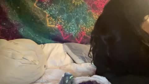 Jadexbabe online show from 01/27/25, 11:54