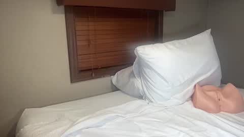 jake_brick online show from 05/29/26, 02:42