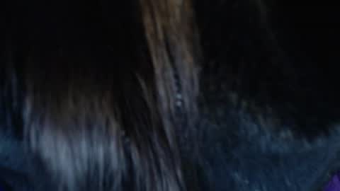 jalea_real_69 online show from 07/19/26, 06:50