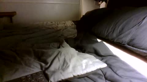 Jamacian online show from 09/30/25, 03:00