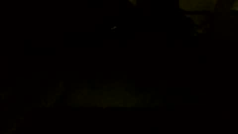 Jamacian online show from 10/07/25, 09:45