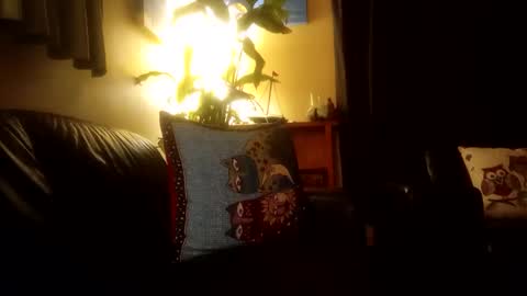 jamesloveridge901 online show from 10/25/25, 02:24