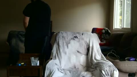 jameswolf777 online show from 09/27/25, 02:44