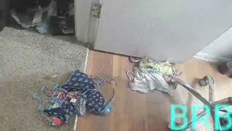 Snapshot of jamwarnerone chatting on 08/02/26, 03:54 Bootyshows online show from 08/02/26, 03:54