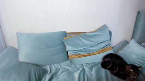 Snapshot of jane_modelxx chatting on 01/25/25, 09:04 Jane online show from 01/25/25, 09:04