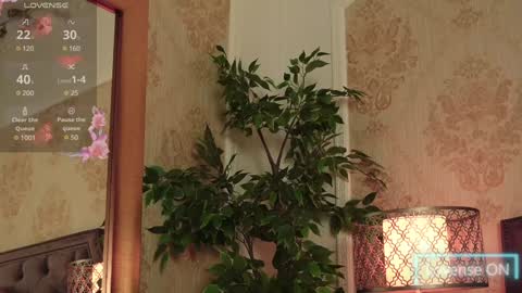 JaneDevine online show from 12/18/24, 10:08