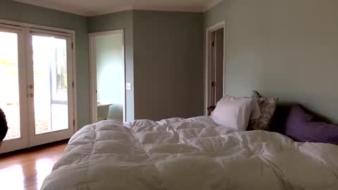 Snapshot of janicepepper chatting on 01/04/25, 09:52 janicepepper online show from 01/04/25, 09:52