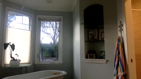 Snapshot of janicepepper chatting on 03/02/25, 12:53 janicepepper online show from 03/02/25, 12:53