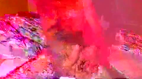 jardinflowers online show from 11/06/25, 03:18