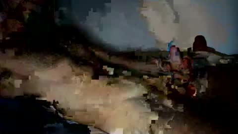 jardinflowers online show from 11/28/25, 05:21