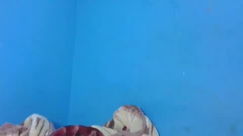 JarevavaX online show from 01/25/25, 02:58