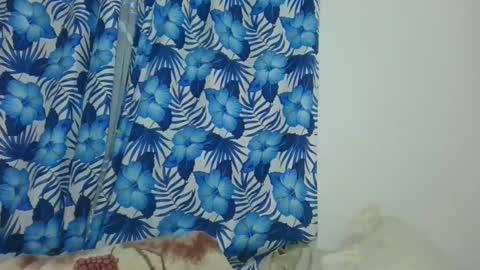 JarevavaX online show from 02/12/25, 09:01