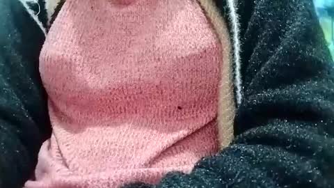 Snapshot of jasspreettt chatting on 12/26/24, 03:16 jasspreettt online show from 12/26/24, 03:16