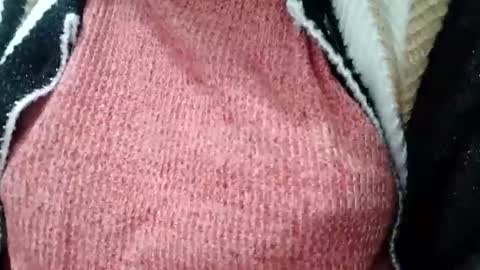 Snapshot of jasspreettt chatting on 02/01/25, 01:55 jasspreettt online show from 02/01/25, 01:55