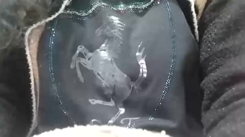 Snapshot of jasspreettt chatting on 02/02/25, 06:58 jasspreettt online show from 02/02/25, 06:58