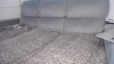 Snapshot of javierandaniel chatting on 12/05/24, 04:01 Javier online show from 12/05/24, 04:01