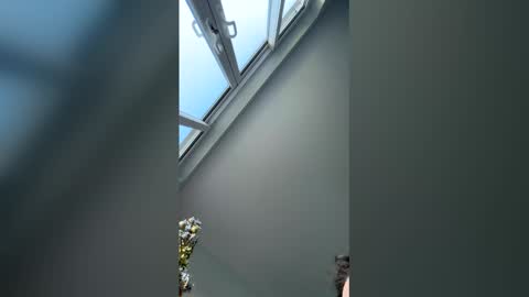 Snapshot of jay40451 chatting on 12/20/25, 10:00 jay40451 online show from 12/20/25, 10:00