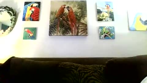 jay-jay1475 online show from 01/16/25, 08:46
