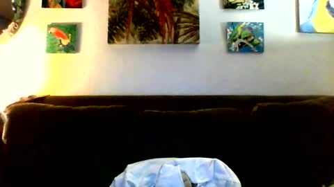 jay-jay1475 online show from 07/23/26, 06:50