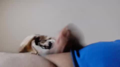 Snapshot of jayl458 chatting on 03/10/25, 10:59 jayl458 online show from 03/10/25, 10:59