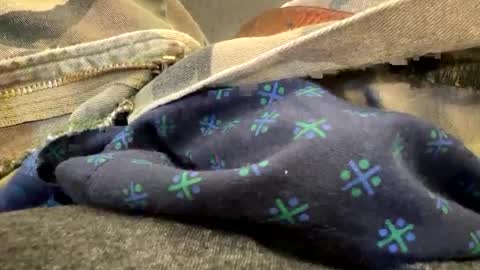 Snapshot of jbigblue chatting on 09/28/25, 03:28 jbigblue online show from 09/28/25, 03:28