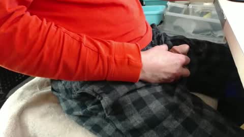 jc200000 online show from 12/17/25, 09:54