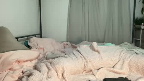 Mistress Jenni online show from 12/11/24, 06:47