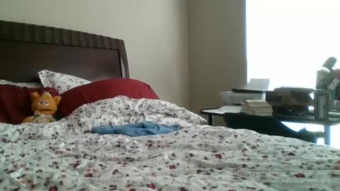 Snapshot of jennibean6996 chatting on 09/30/25, 01:49 Jennibean6996 online show from 09/30/25, 01:49