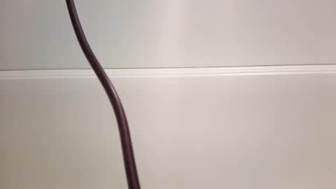 jeremymeyerprofessional online show from 05/28/26, 11:07
