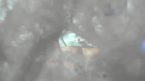 jessica herreraToday I will be your devil and you my victim online show from 12/14/24, 02:56
