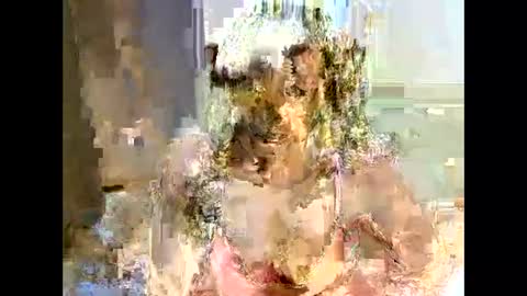 jessajoyy online show from 02/01/25, 04:11