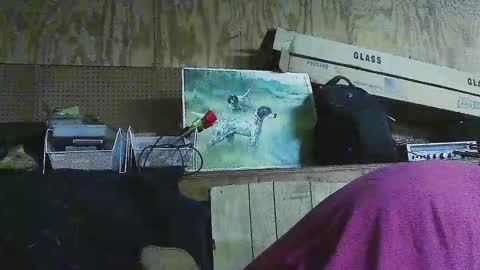 Dixon Cider online show from 03/06/25, 06:19