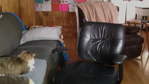 jettadude5 online show from 01/25/25, 06:02